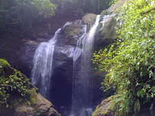 Costa Rica-Caribbean Coast-Caribbean Border Trail Adventure